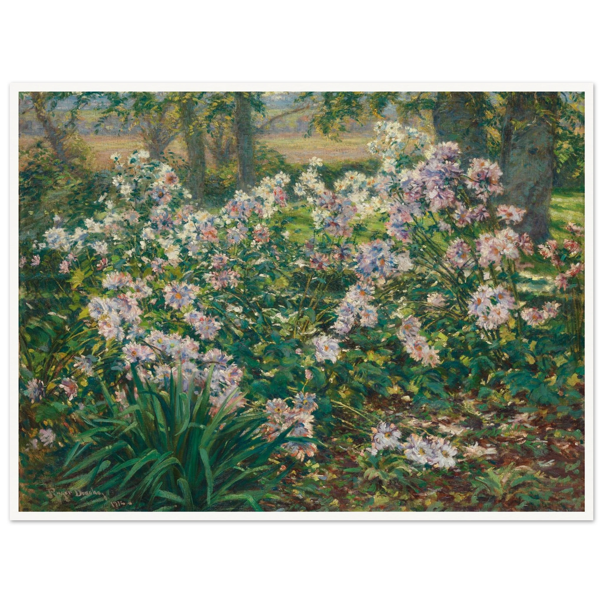 Pink and white flowers bloom densely among lush green foliage beneath tall trees in a sunlit garden.
