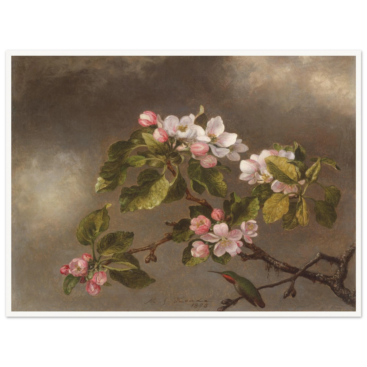 A hummingbird perches beneath pink apple blossoms against a cloudy gray-brown sky.