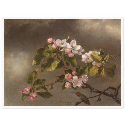 A hummingbird perches beneath pink apple blossoms against a cloudy gray-brown sky.