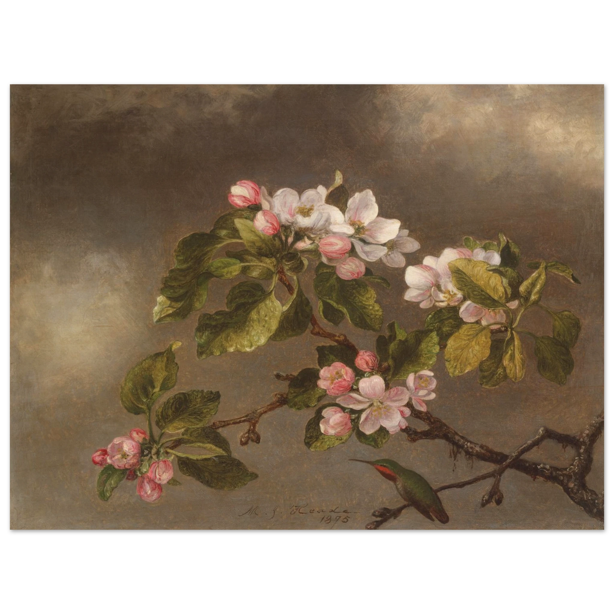 A hummingbird perches beneath pink apple blossoms against a cloudy gray-brown sky.