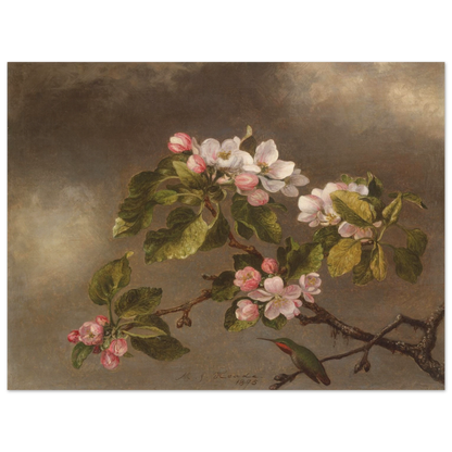 A hummingbird perches beneath pink apple blossoms against a cloudy gray-brown sky.