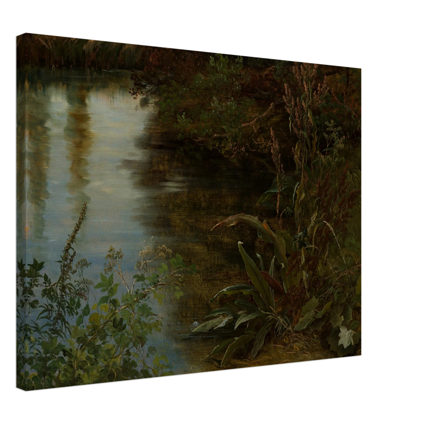 Calm water reflects trees beside dense riverbank plants and grasses