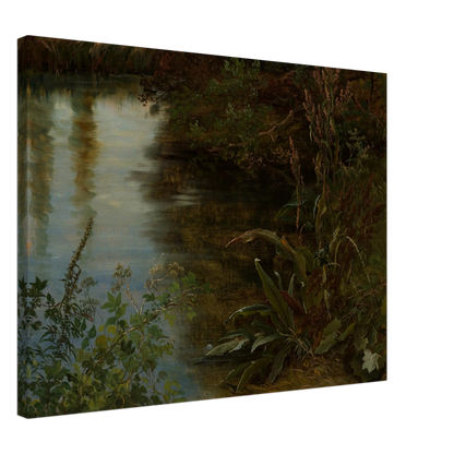 Calm water reflects trees beside dense riverbank plants and grasses