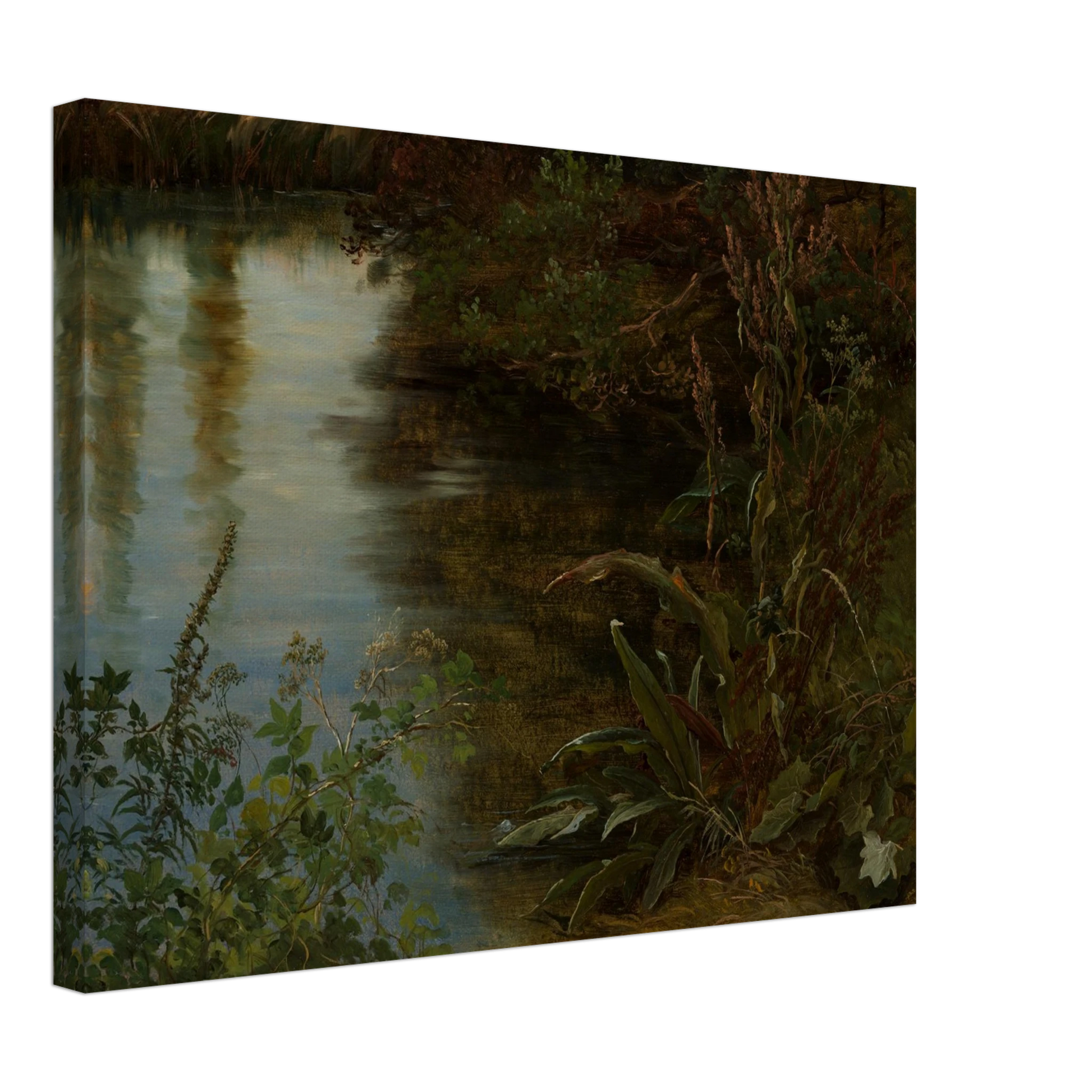 Calm water reflects trees beside dense riverbank plants and grasses