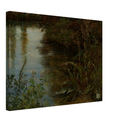 Calm water reflects trees beside dense riverbank plants and grasses